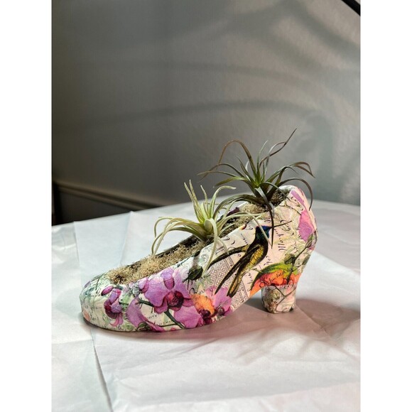 Handmade Decoupage Shoe with Air Plants - Picture 1 of 2